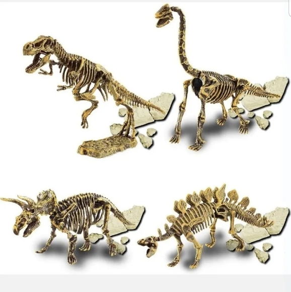 Fossil kit - Picture 2 of 3